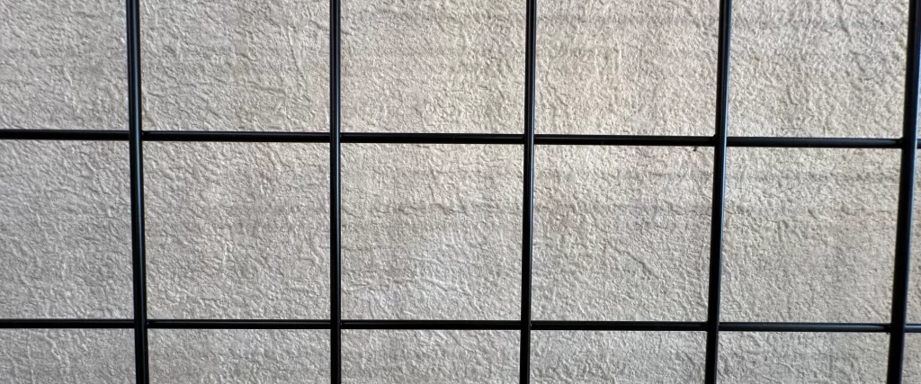 アミのイメージ写真