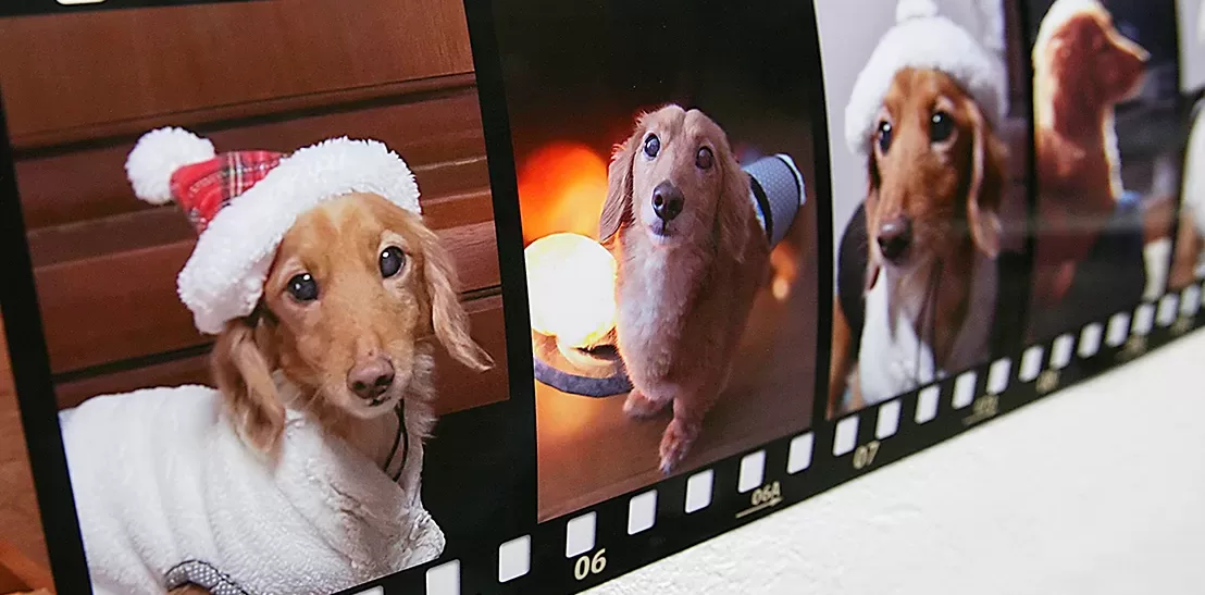 タイトル用フイルム画像