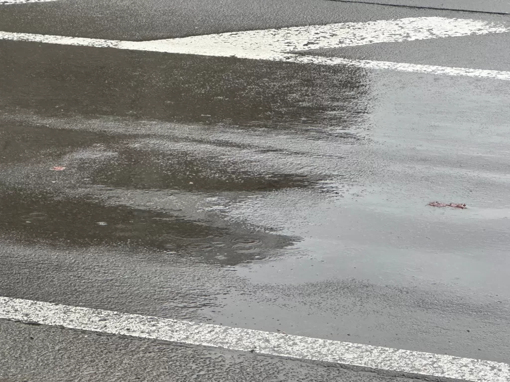 アスファルトのくぼみ