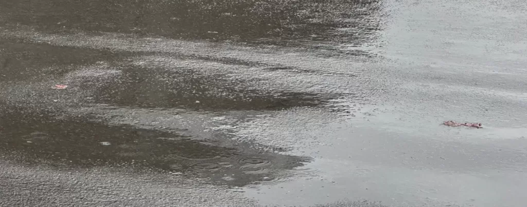 アスファルトのくぼみ